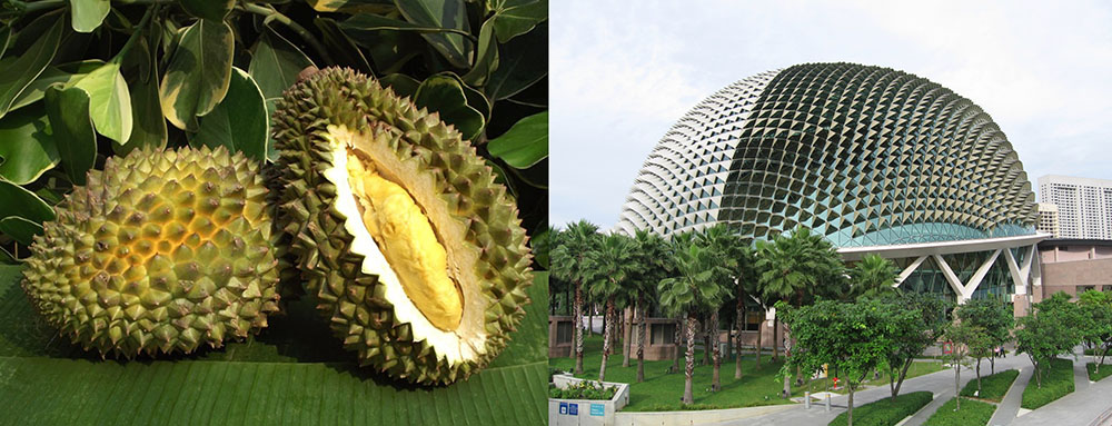 Biomimicry in Architecture